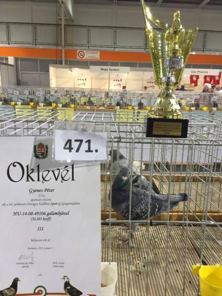 Berentei siker a fővárosban