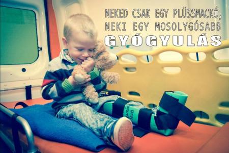 Mackógyűjtési akció!