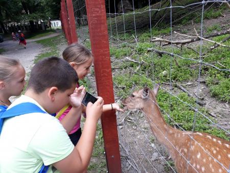 Megkezddtt a nyri napkzi iskolnkban