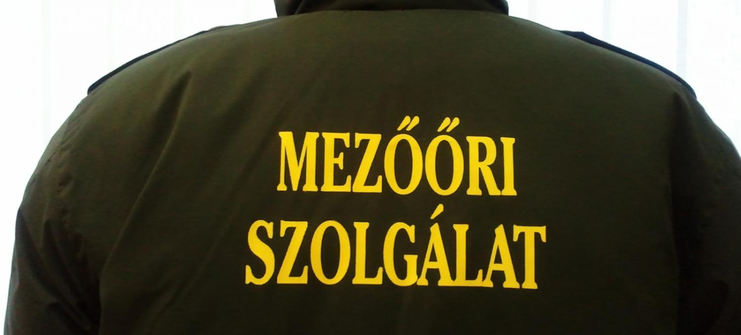 Vltozs a mezri szolglatban